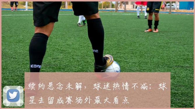 续约悬念未解，球迷热情不减：球星去留成赛场外最大看点